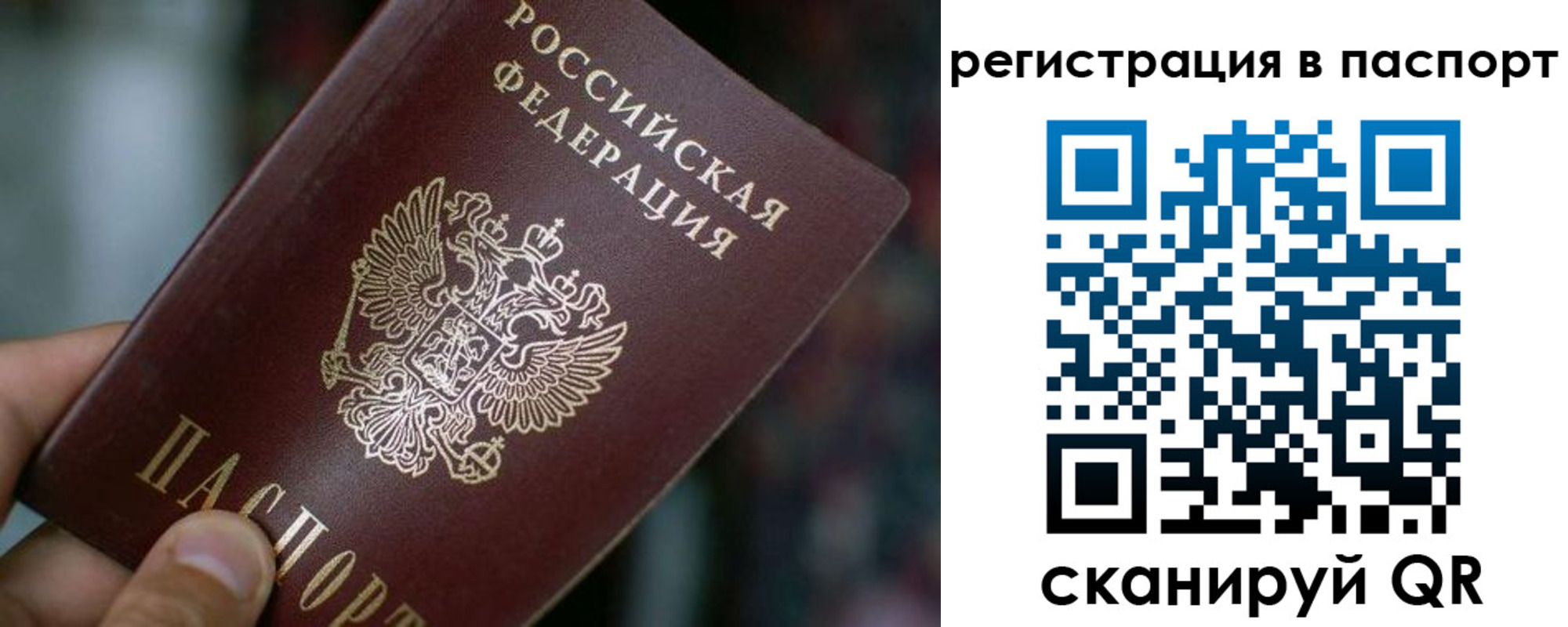 временная регистрация недорого в Соколе
